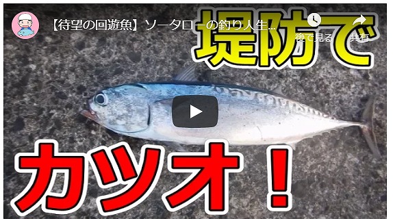 ソロキャンプ動画(釣り・魚料理)